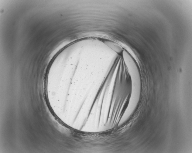 X0000085210999200704091901