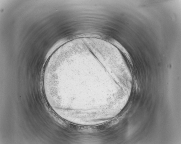 X0000085211002200704091901