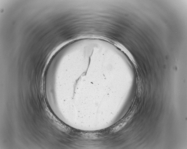 X0000085211004200704091901