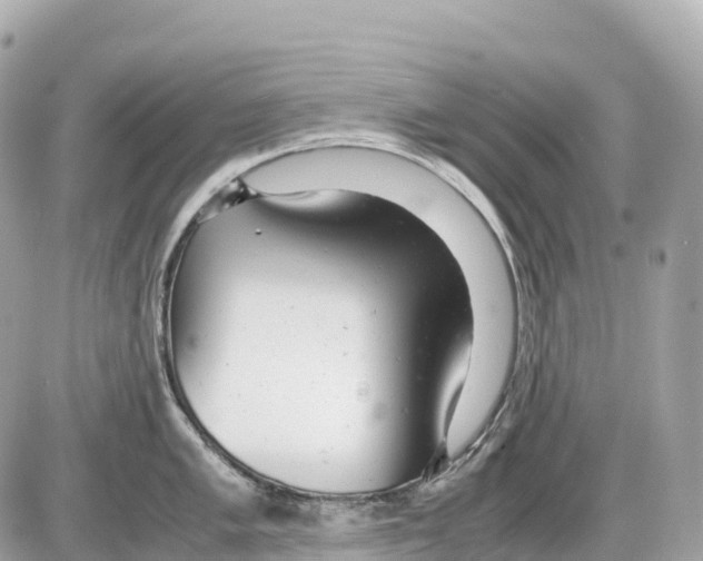 X0000085211005200704091901