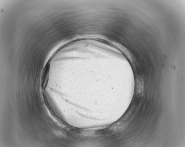 X0000085211006200704091901