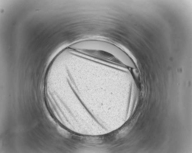 X0000085211007200704091901