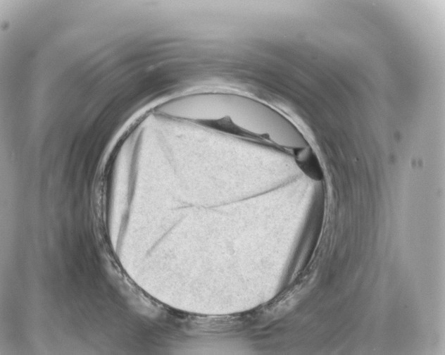 X0000085211008200704091901