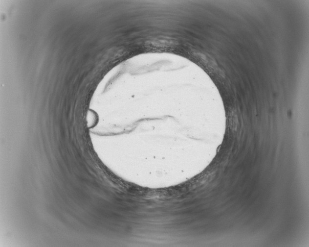 X0000085211009200704091901