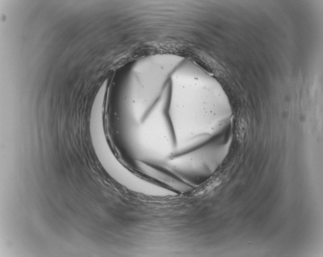 X0000085211010200704091901