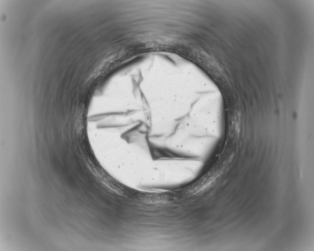 X0000085211012200704091901