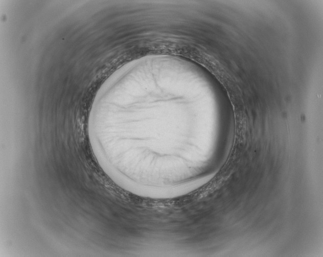 X0000085211013200704091901