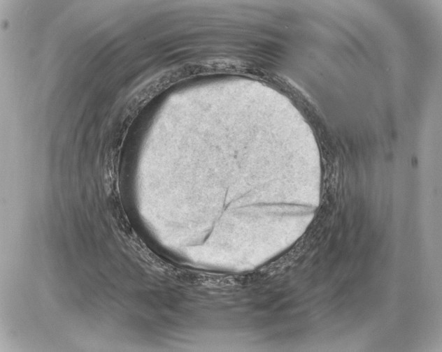 X0000085211015200704091901