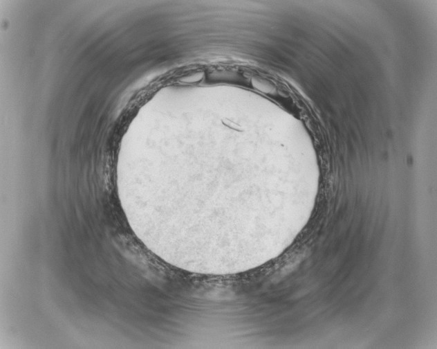 X0000085211016200704091901