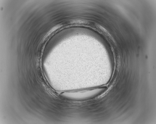 X0000085211017200704091901