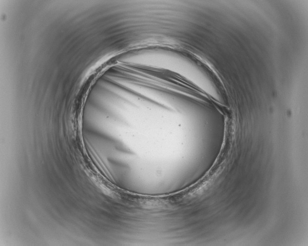 X0000085211018200704091901