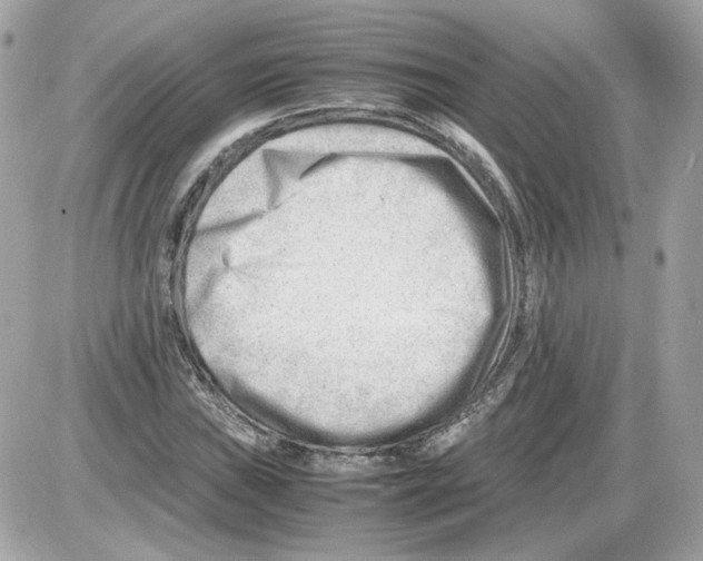 X0000085211019200704091901