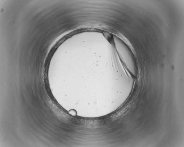 X0000085211020200704091901