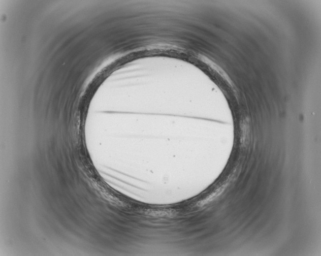 X0000085211021200704091901