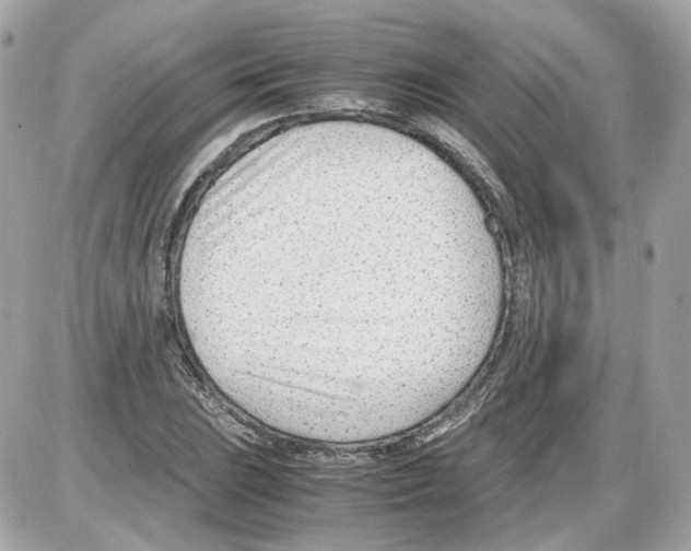 X0000085211023200704091901