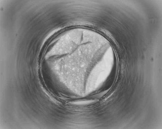 X0000085211024200704091901