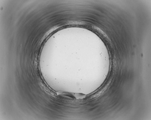 X0000085211025200704091901