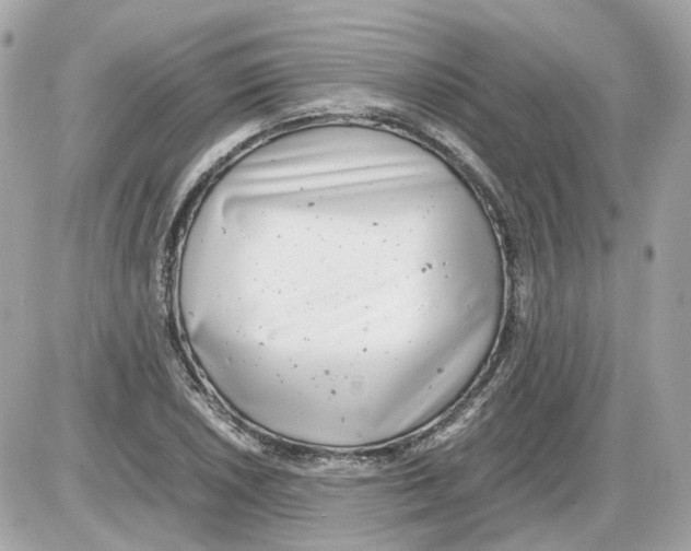 X0000085211026200704091901