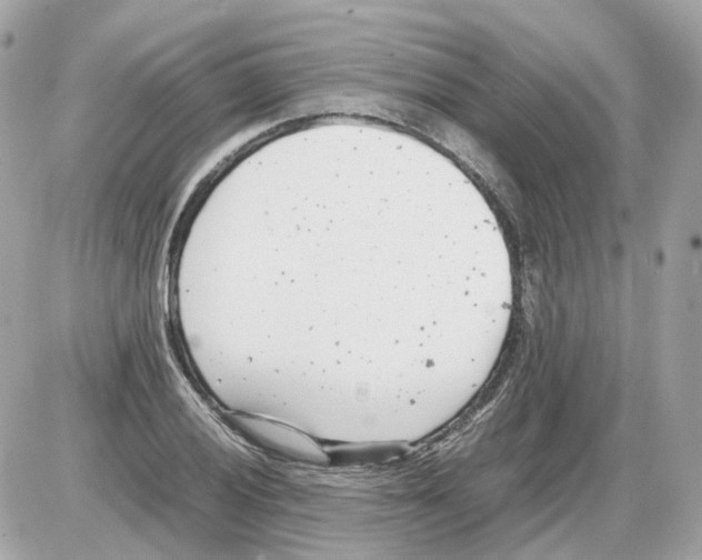 X0000085211028200704091901