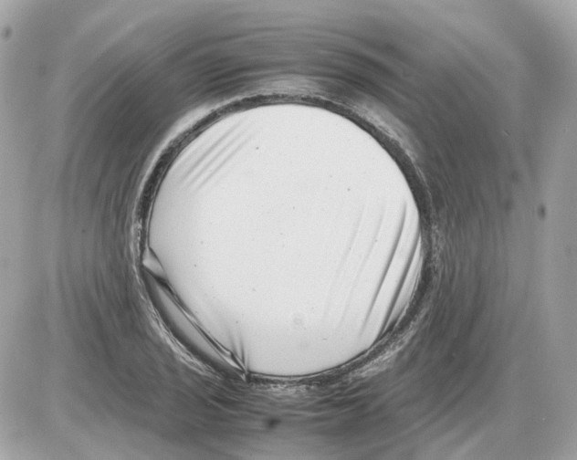 X0000085211029200704091901