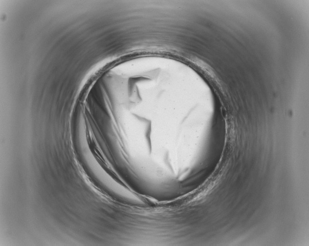 X0000085211030200704091901