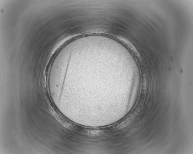 X0000085211031200704091901