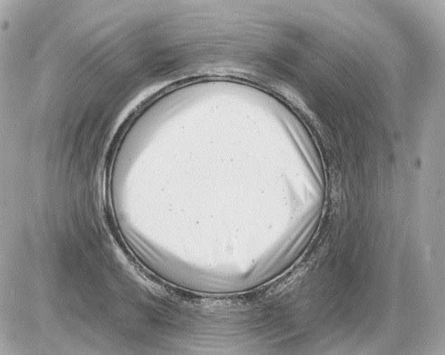 X0000085211032200704091901