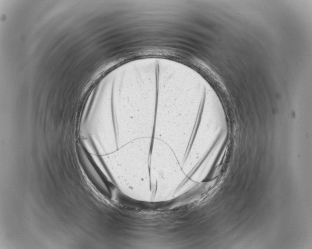 X0000085211033200704091901