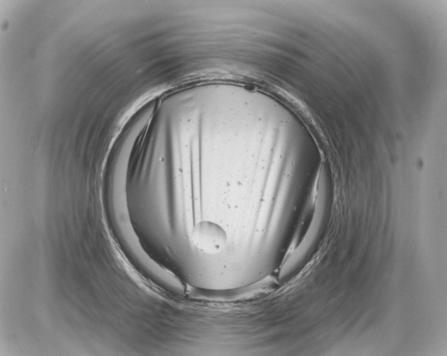 X0000085211034200704091901