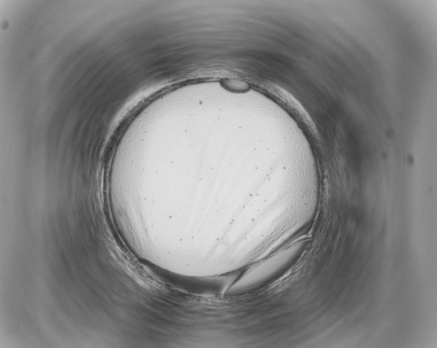 X0000085211035200704091901