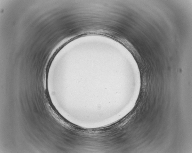 X0000085211036200704091901