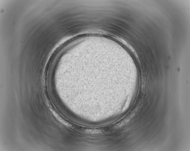 X0000085211037200704091901