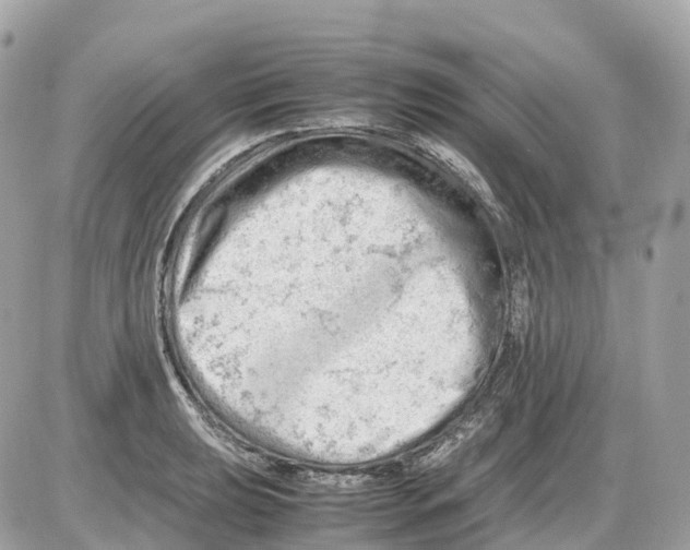 X0000085211039200704091901