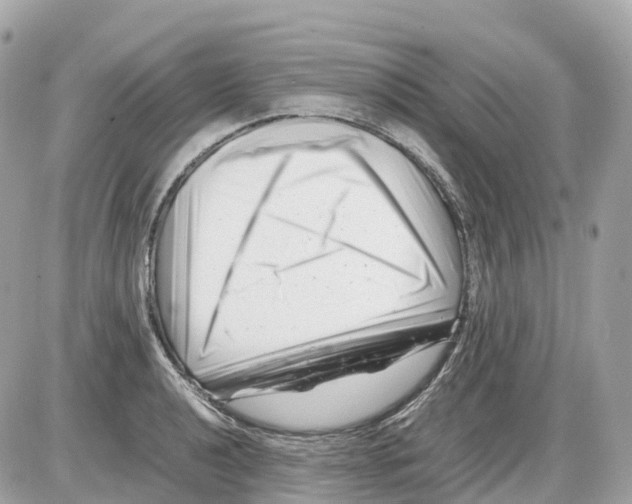 X0000085211040200704091901