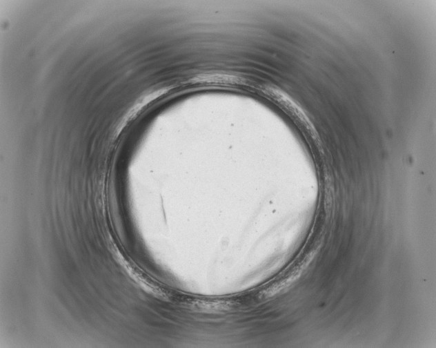 X0000085211041200704091901