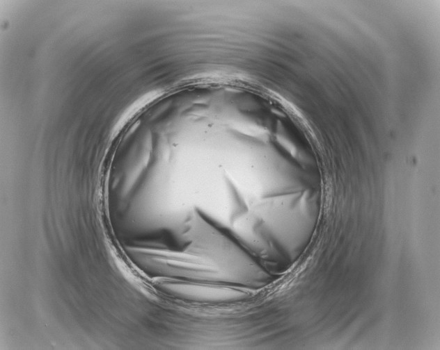 X0000085211042200704091901