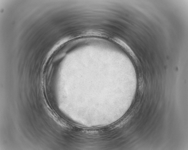 X0000085211043200704091901