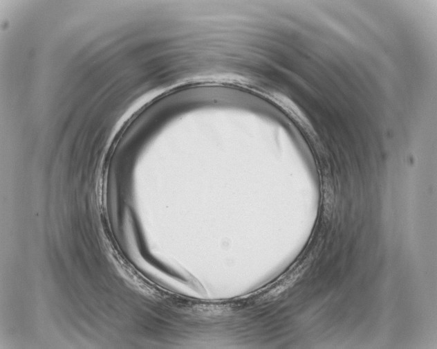 X0000085211044200704091901