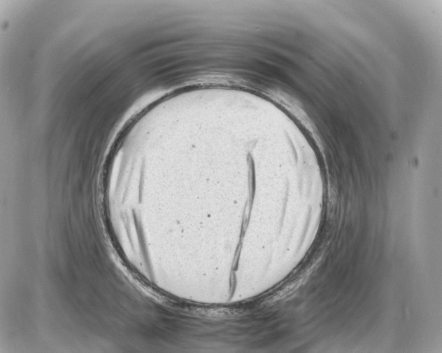 X0000085211045200704091901