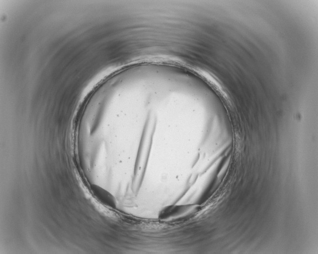 X0000085211046200704091901