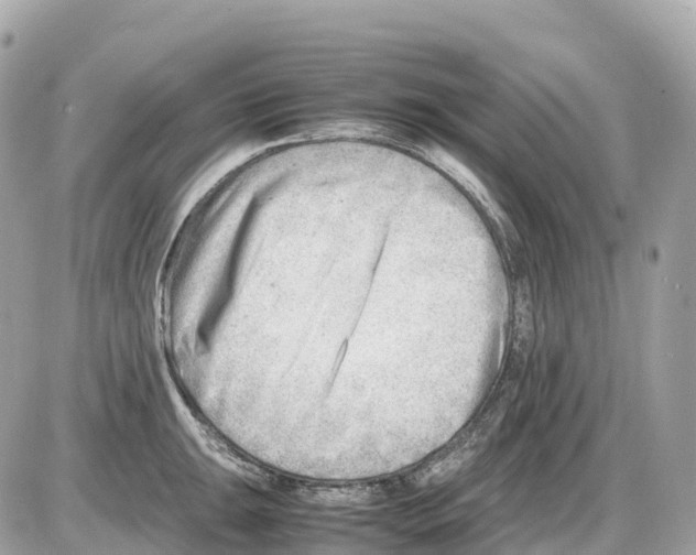 X0000085211047200704091901