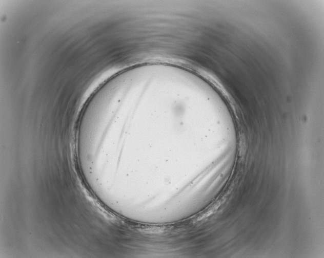 X0000085211048200704091901