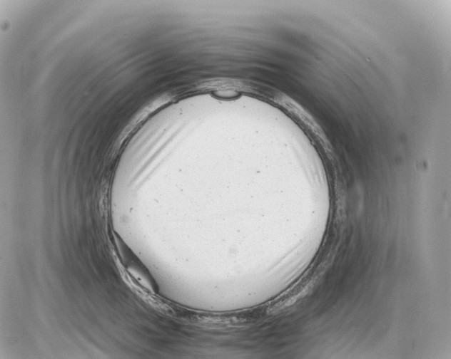 X0000085211049200704091901