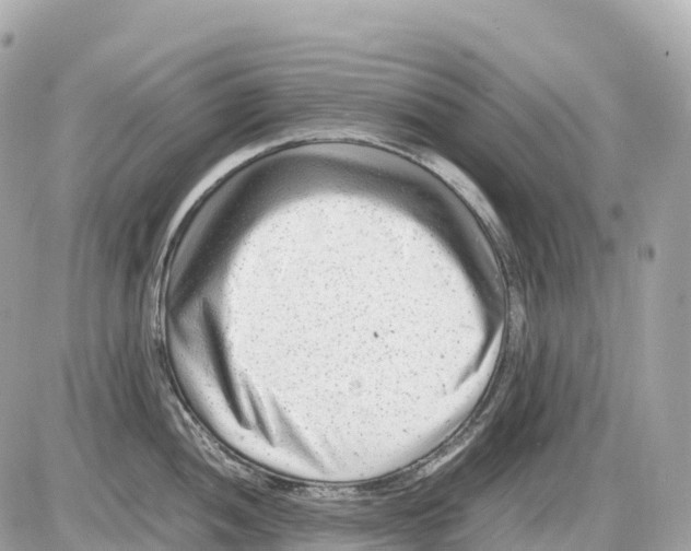 X0000085211052200704091901