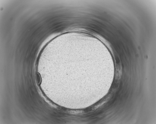 X0000085211053200704091901