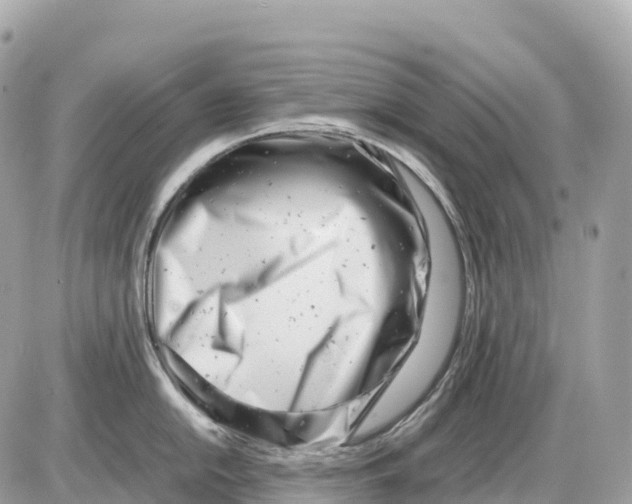 X0000085211054200704091901