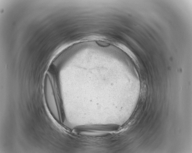 X0000085211055200704091901