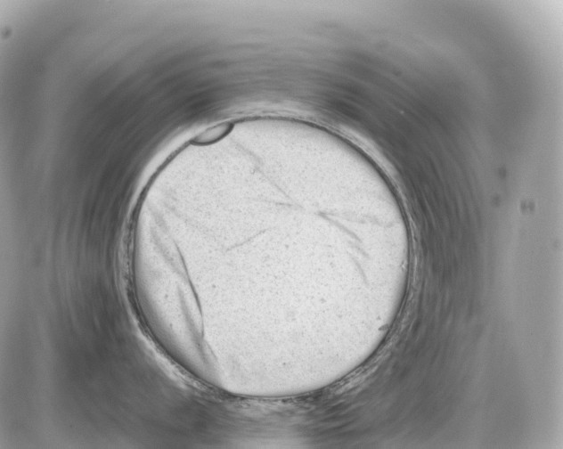 X0000085211056200704091901