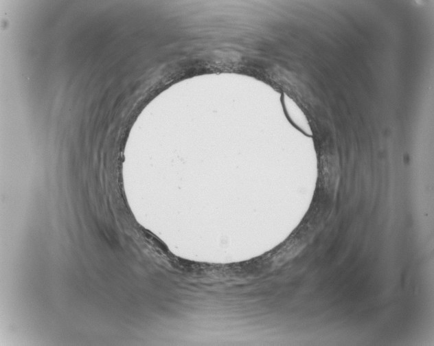 X0000085211057200704091901