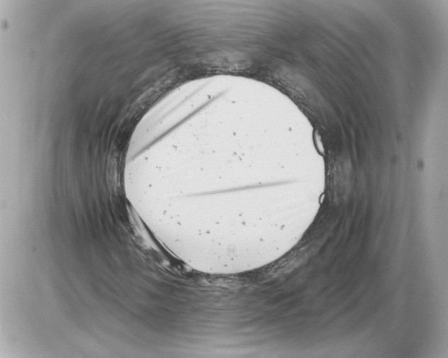 X0000085211058200704091900